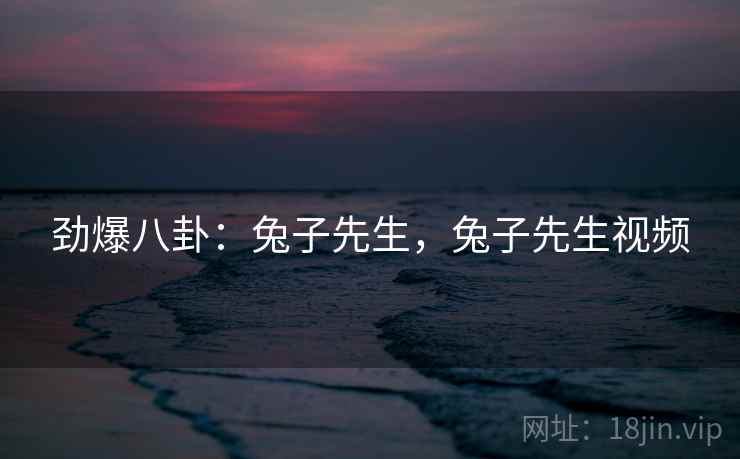 劲爆八卦：兔子先生，兔子先生视频