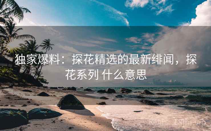 独家爆料：探花精选的最新绯闻，探花系列 什么意思