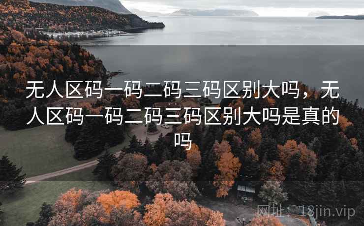 无人区码一码二码三码区别大吗，无人区码一码二码三码区别大吗是真的吗